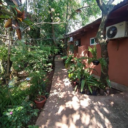 Hostel Guazu Puerto Iguazu Exterior photo