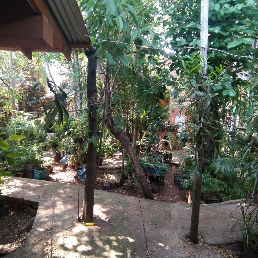 Hostel Guazu Puerto Iguazu Exterior photo
