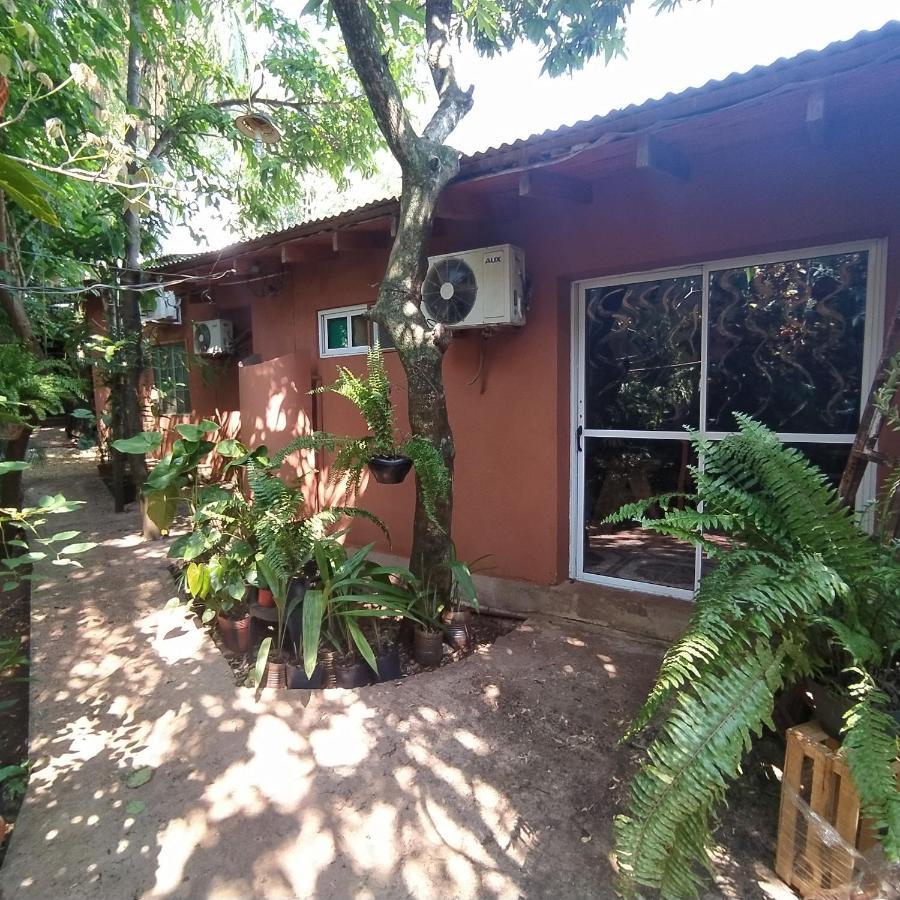 Hostel Guazu Puerto Iguazu Exterior photo