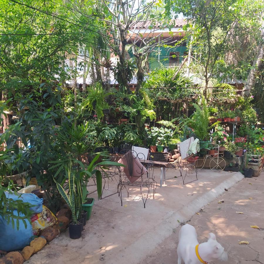 Hostel Guazu Puerto Iguazu Exterior photo